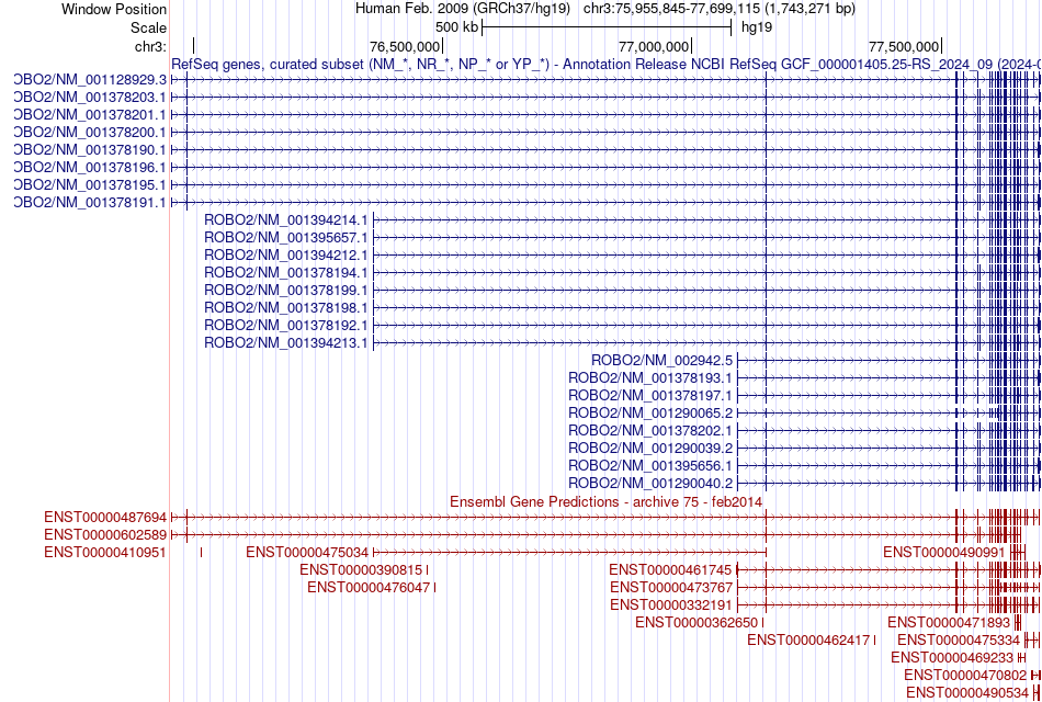 gene isoform structure of ROBO2