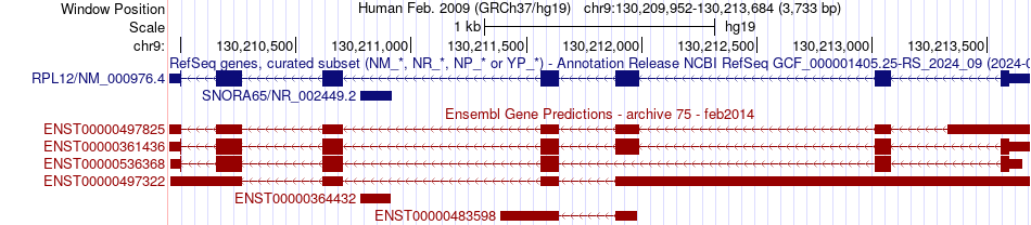 gene isoform structure of RPL12