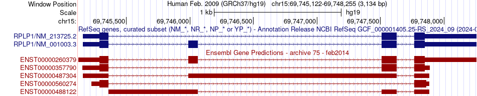 gene isoform structure of RPLP1