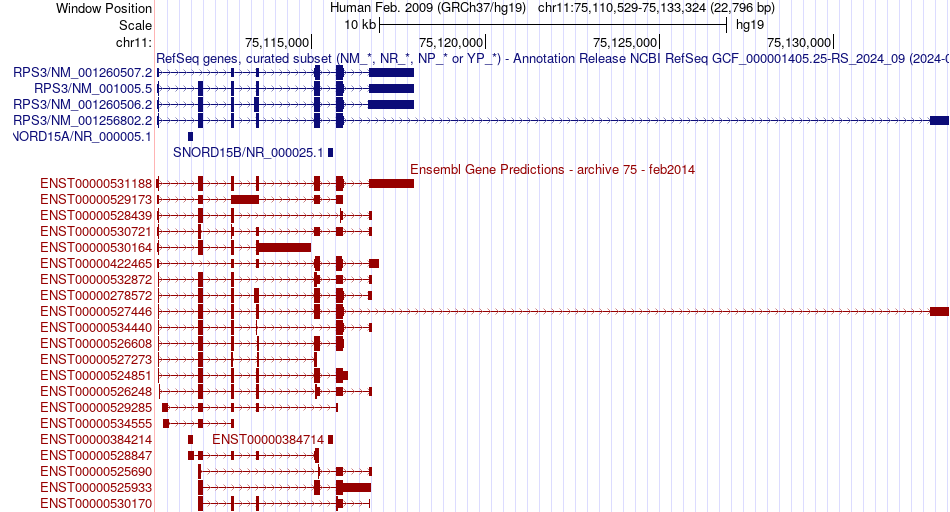 gene isoform structure of RPS3
