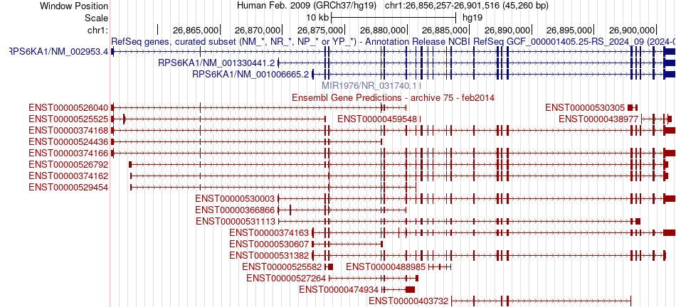 gene isoform structure of RPS6KA1