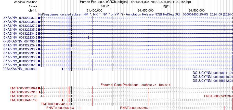 gene isoform structure of RPS6KA5
