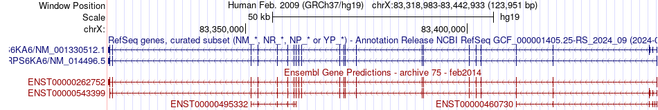 gene isoform structure of RPS6KA6