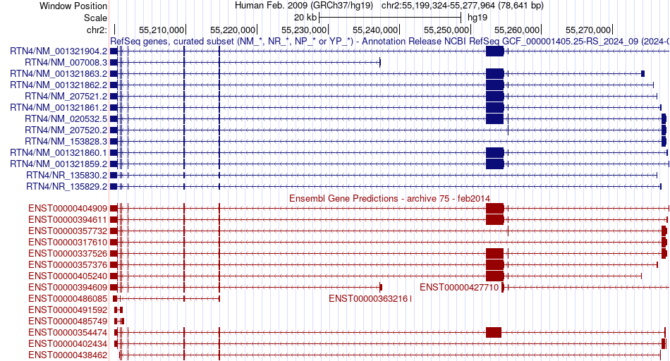 gene isoform structure of RTN4