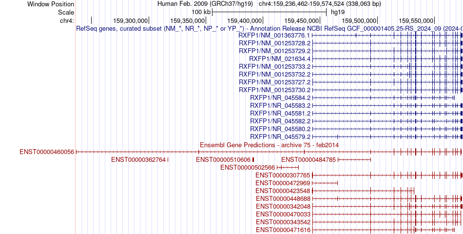 gene isoform structure of RXFP1