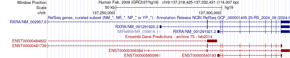 gene isoform structure of RXRA
