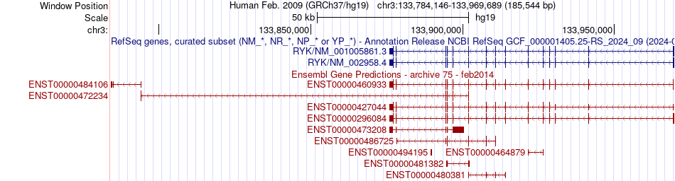 gene isoform structure of RYK
