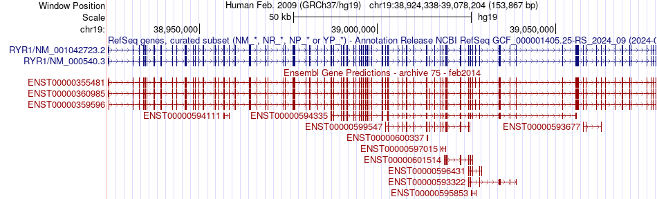 gene isoform structure of RYR1