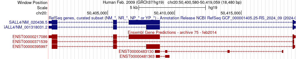 gene isoform structure of SALL4