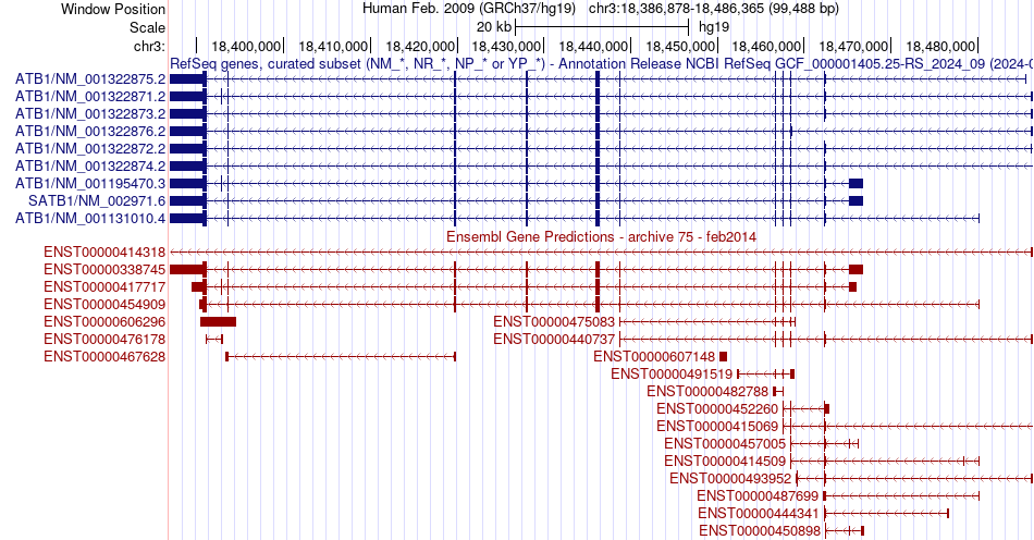 gene isoform structure of SATB1