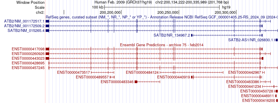 gene isoform structure of SATB2