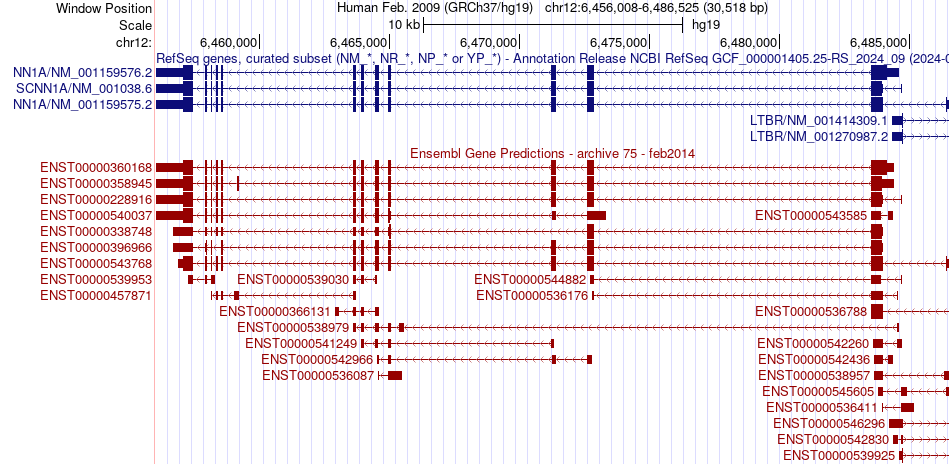 gene isoform structure of SCNN1A