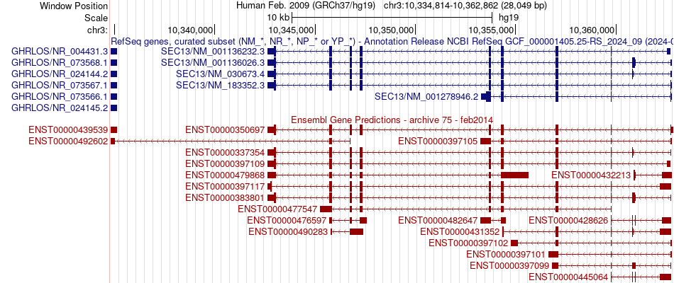gene isoform structure of SEC13