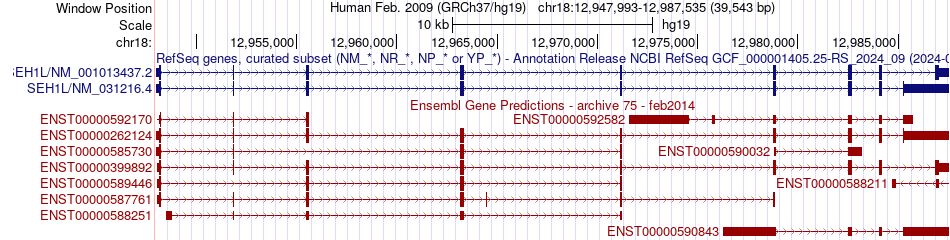 gene isoform structure of SEH1L