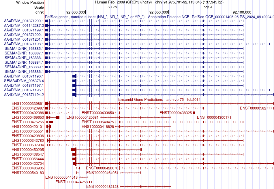 gene isoform structure of SEMA4D
