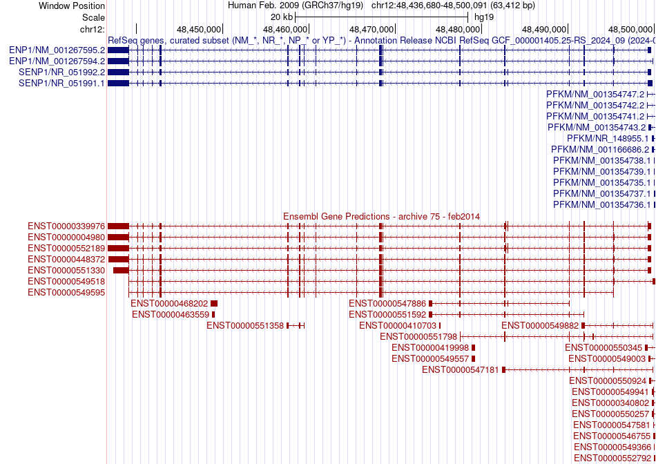 gene isoform structure of SENP1