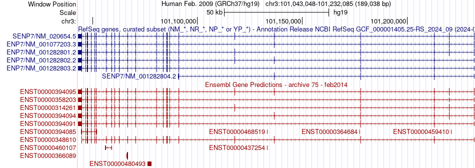 gene isoform structure of SENP7