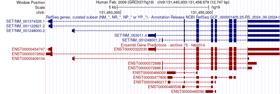 gene isoform structure of SET