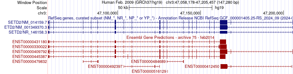 gene isoform structure of SETD2