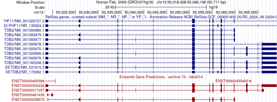 gene isoform structure of SETDB2