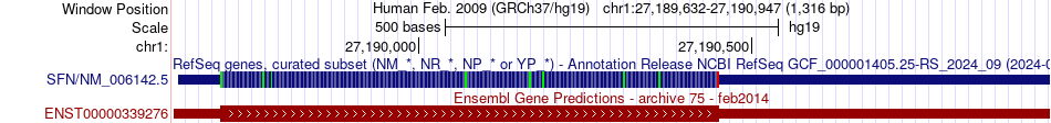 gene isoform structure of SFN