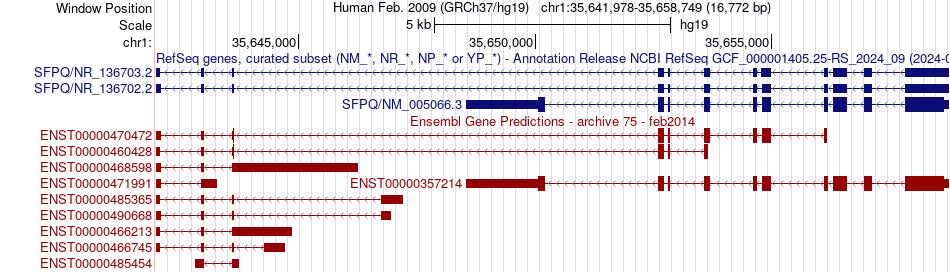 gene isoform structure of SFPQ