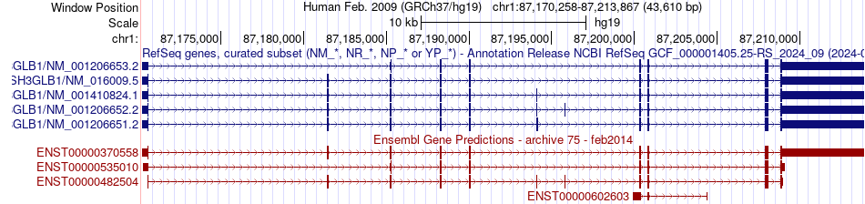 gene isoform structure of SH3GLB1