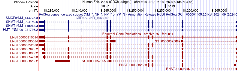gene isoform structure of SHMT1