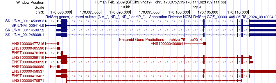 gene isoform structure of SKIL