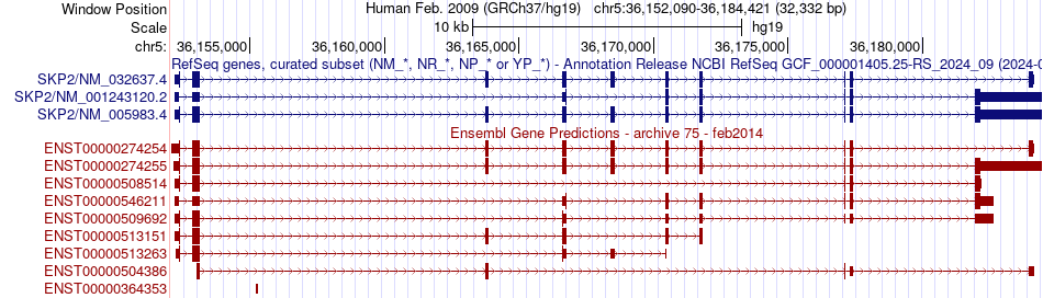 gene isoform structure of SKP2