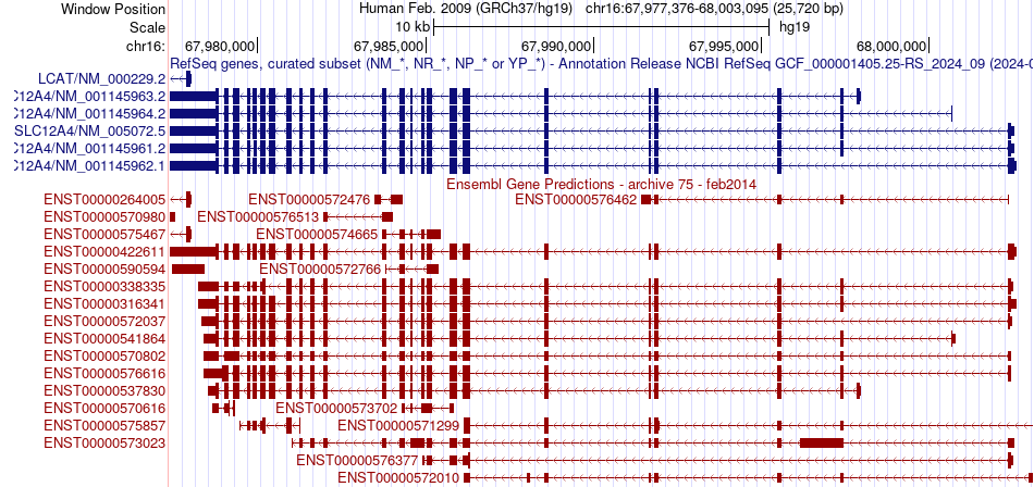 gene isoform structure of SLC12A4