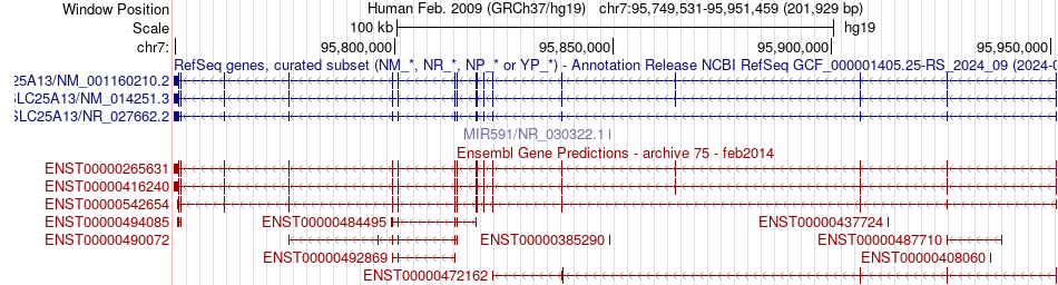 gene isoform structure of SLC25A13