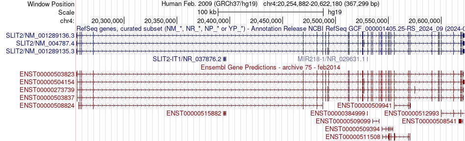 gene isoform structure of SLIT2