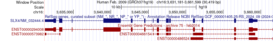 gene isoform structure of SLX4