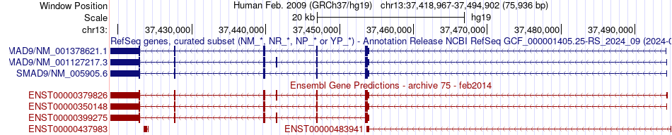 gene isoform structure of SMAD9