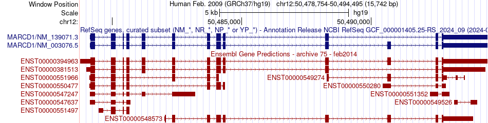 gene isoform structure of SMARCD1