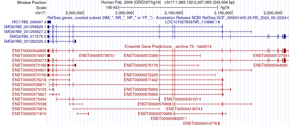 gene isoform structure of SMG6