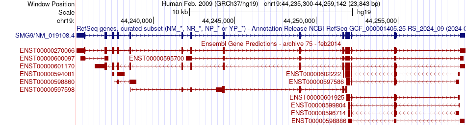 gene isoform structure of SMG9