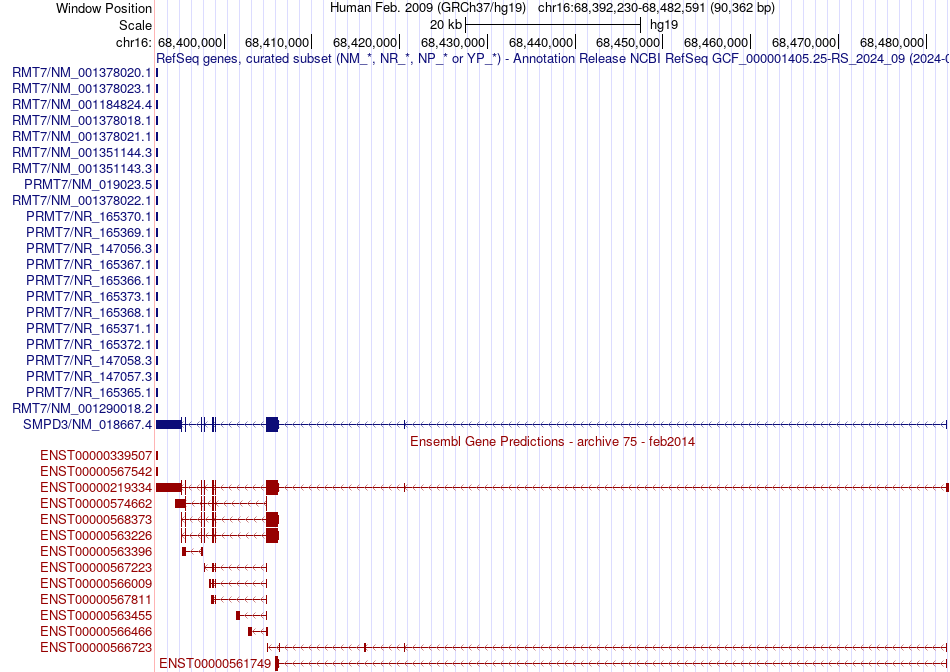 gene isoform structure of SMPD3