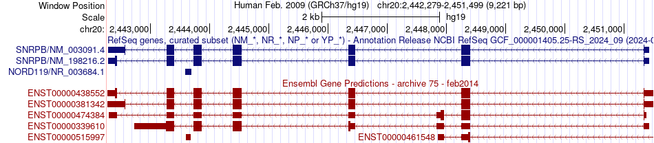 gene isoform structure of SNRPB