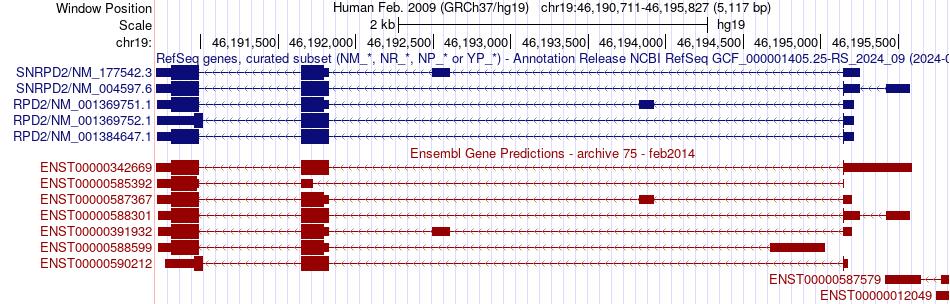gene isoform structure of SNRPD2