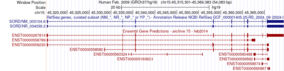 gene isoform structure of SORD