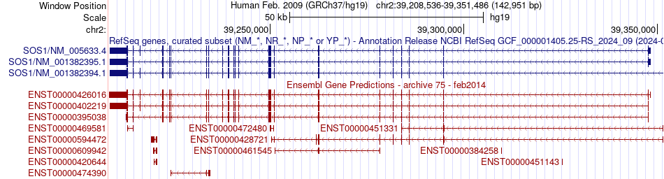 gene isoform structure of SOS1