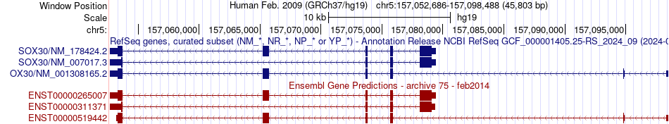 gene isoform structure of SOX30