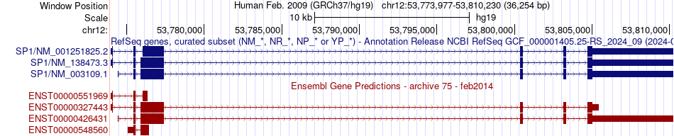 gene isoform structure of SP1