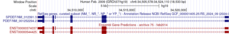 gene isoform structure of SPDEF