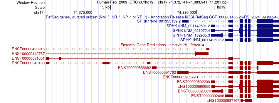 gene isoform structure of SPHK1