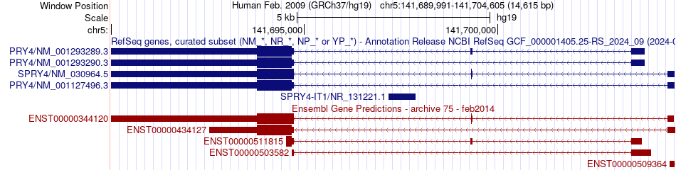 gene isoform structure of SPRY4