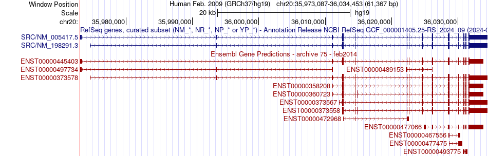 gene isoform structure of SRC