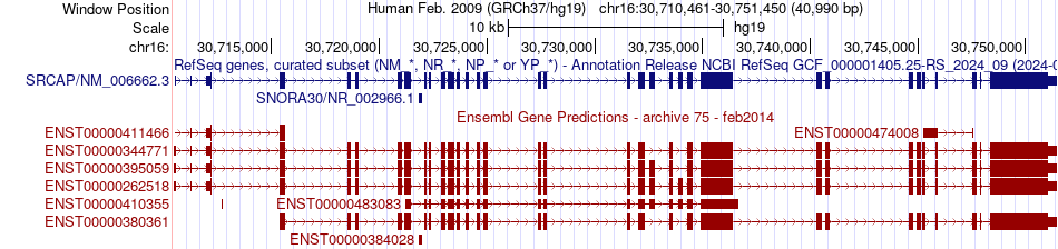 gene isoform structure of SRCAP